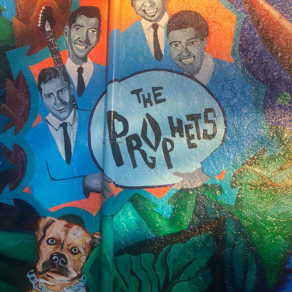 Meet your Posher, Ray